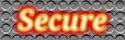 Secure Logo